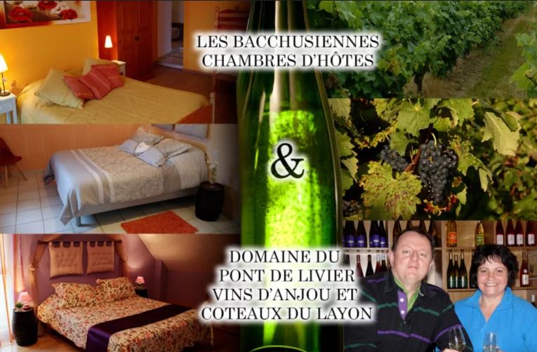 Domaine-du-Pont-de-Livier